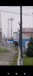 post-28054 thumbnail