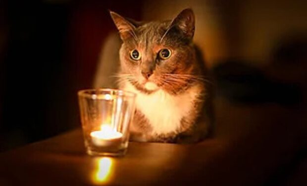 post-37313 thumbnail